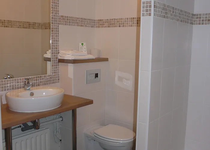 Hotel Logis Epi D'or 3*